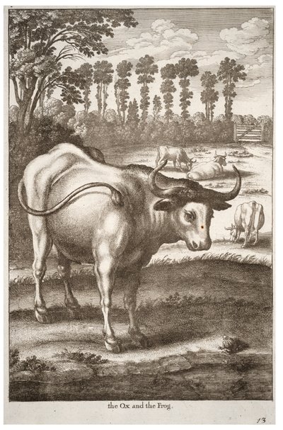 Ox and Frog by Wenceslaus Hollar